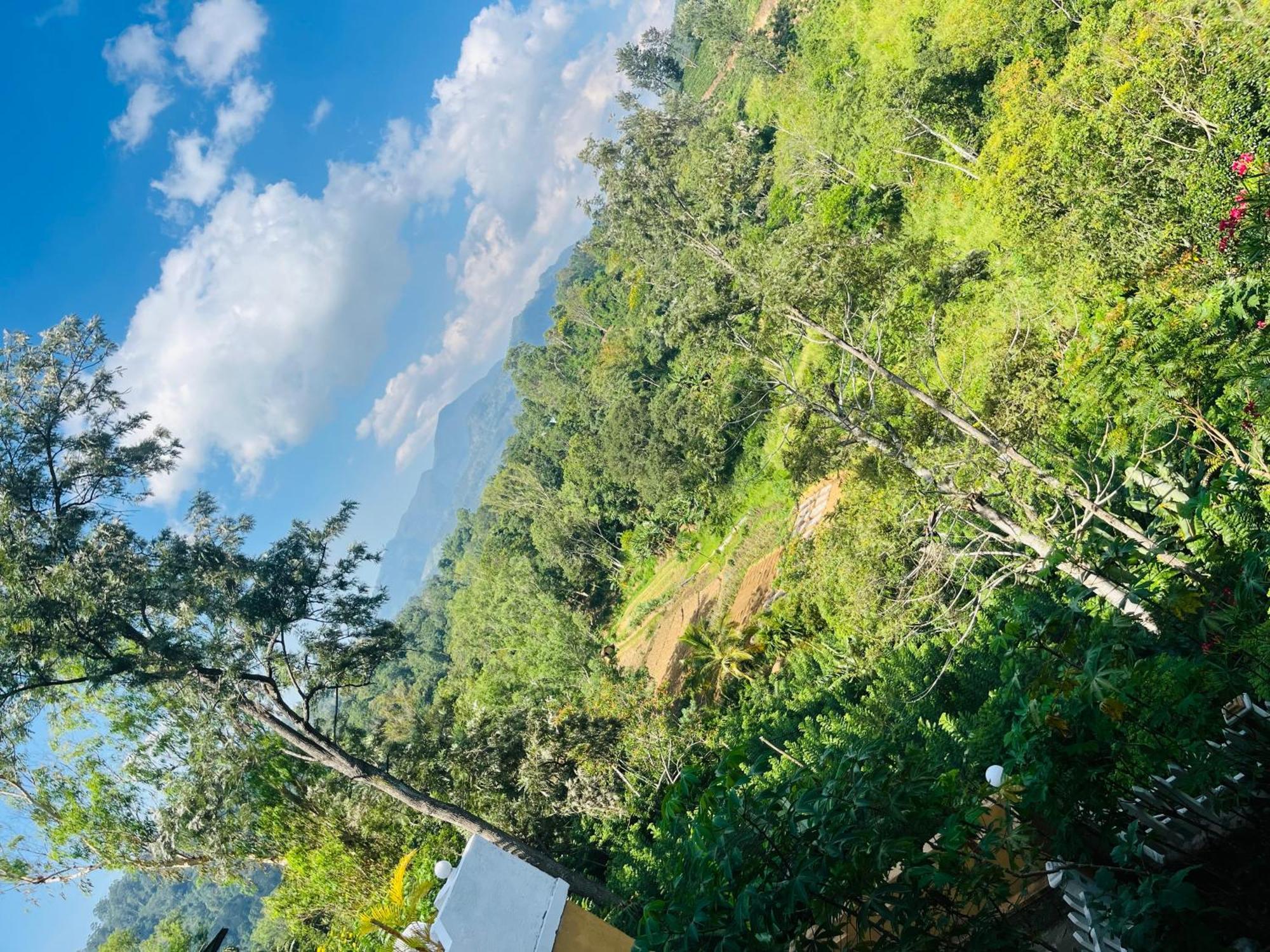 Viyanga Homestay Элла Экстерьер фото