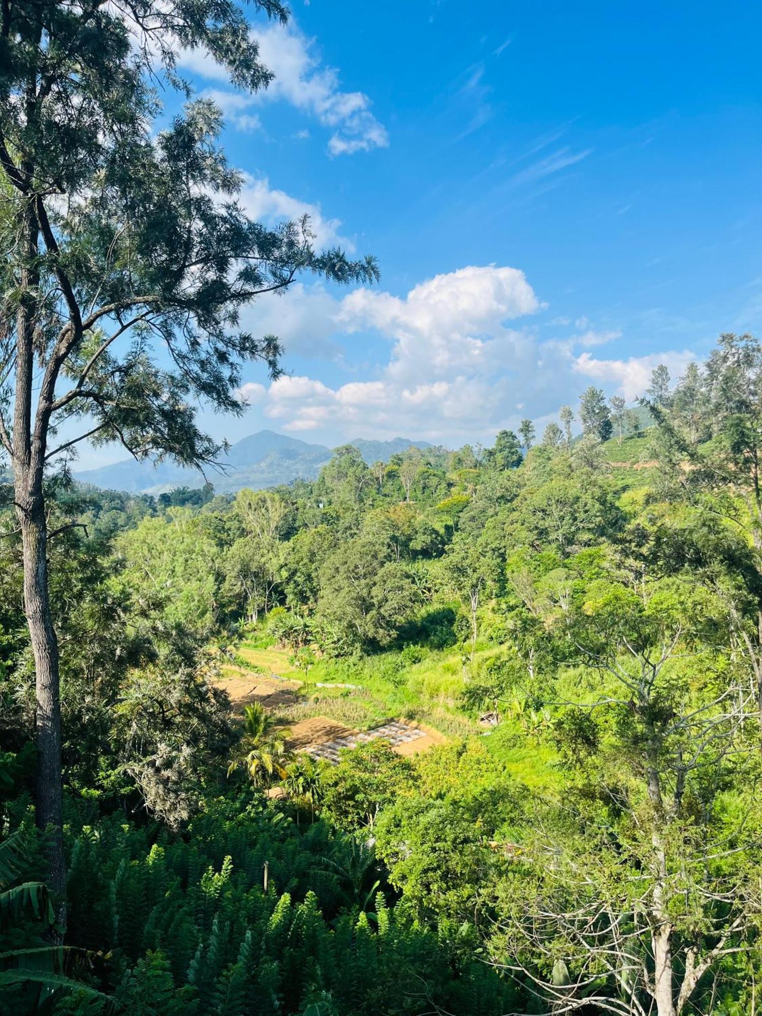 Viyanga Homestay Элла Экстерьер фото