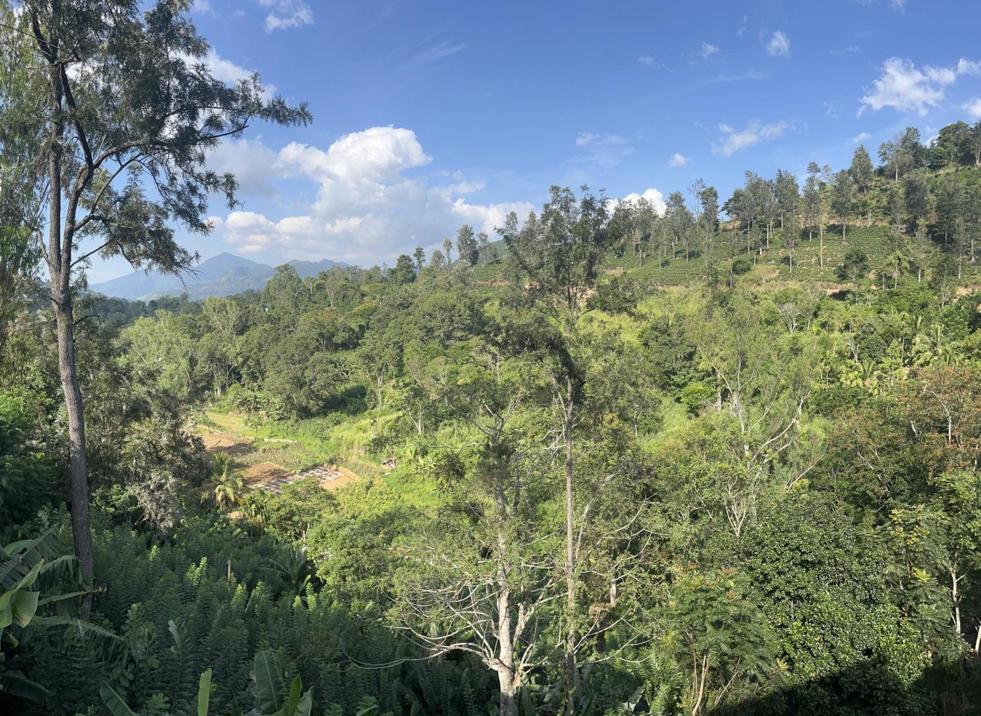 Viyanga Homestay Элла Экстерьер фото