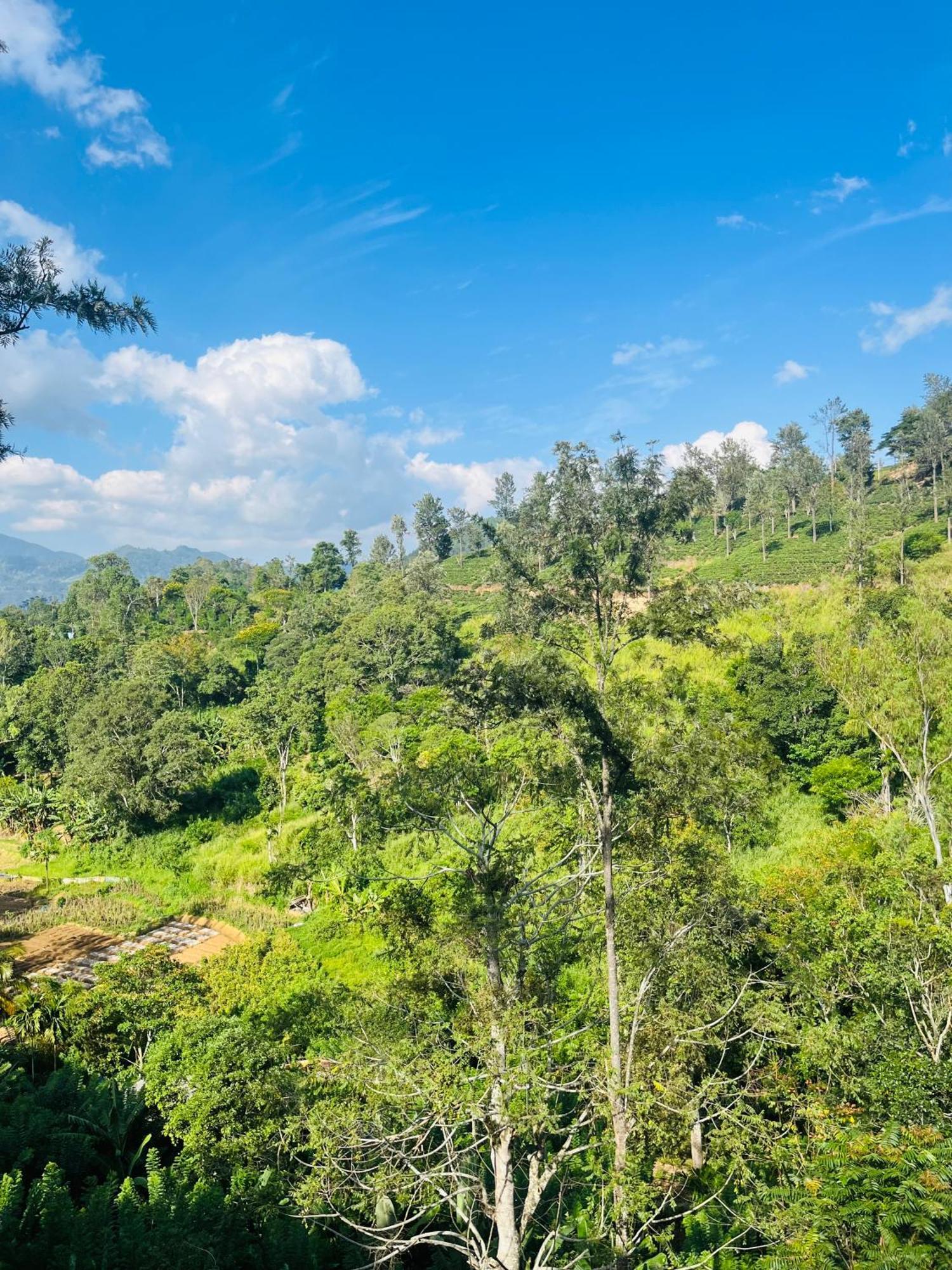 Viyanga Homestay Элла Экстерьер фото